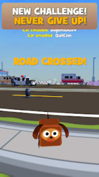 Cuby Challenge: Cross Road
