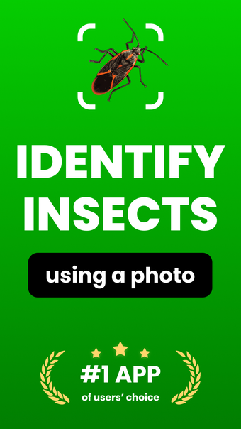 Bug Identifier: Insect Finder