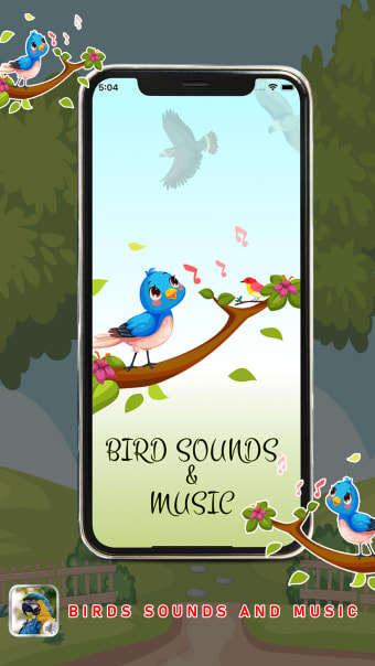 Birds Sounds and Music