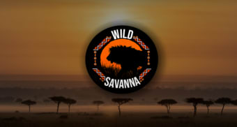 Wild Savanna W.I.P
