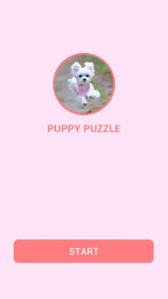 Puppy Puzzle