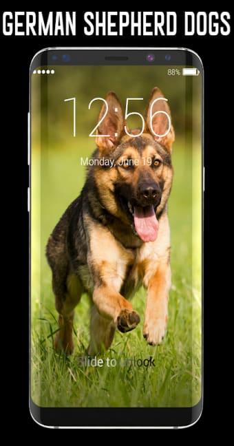 German Shepherd Dog Lock Screen