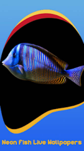 Neon Fish Live Wallpapers