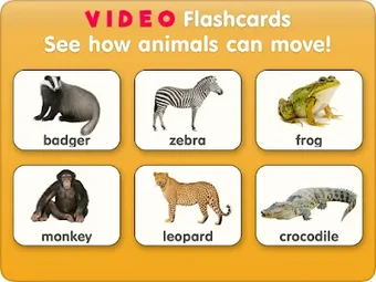 Animal flashcards with video