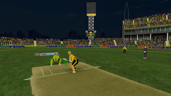 Pakistan Cricket League Game