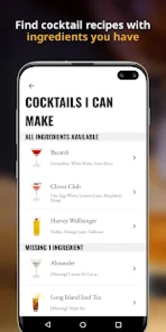 Wunderbar Cocktails:Cocktail