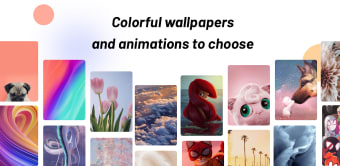 Magic Wallpaper-Colorful