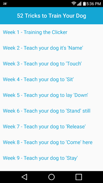 52 Dog Training Tricks