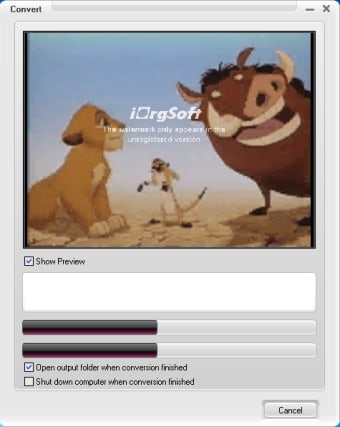 iOrgSoft Flip Video Converter