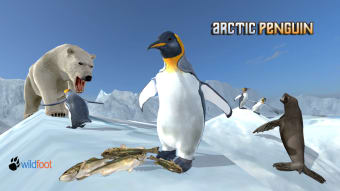 Arctic Penguin