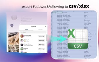 ig Follower export tools - IGExport
