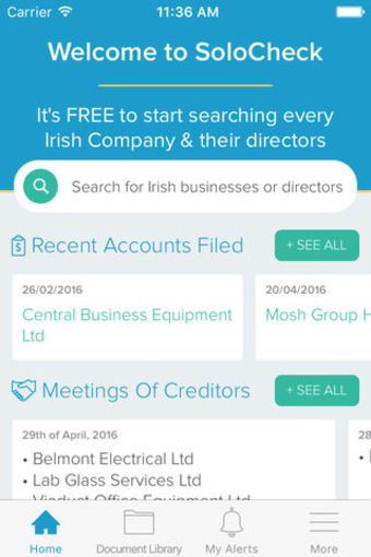 SoloCheck - Irish Company Info