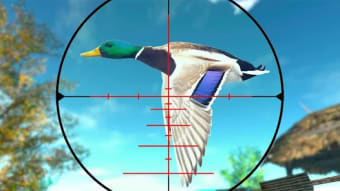 b Duck Hunt 2020 b