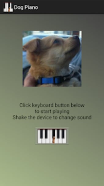 Dog Piano