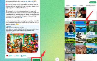 Telegram Downloader - Free Telegram Video Downloader