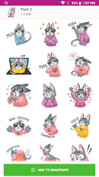 Cute Cat  Bunny Rabbit Stickers - WAStickerApps