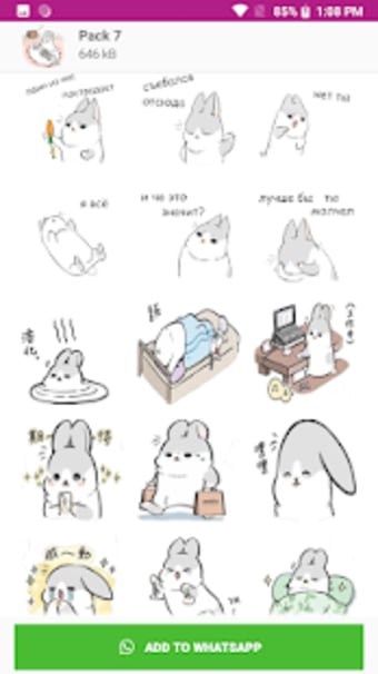 Cute Cat  Bunny Rabbit Stickers - WAStickerApps