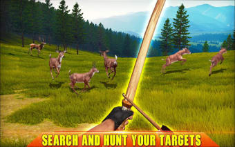 Archery Deer Hunting 2019