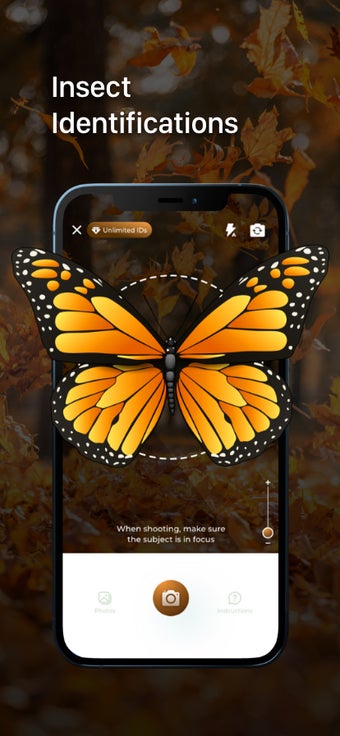 Insect ID - Insect identifier app