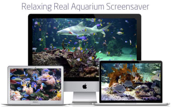 Aquarium live lite: Relaxing screensaver & Clock