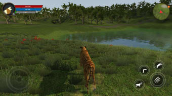 Asian Tiger Survival Simulator