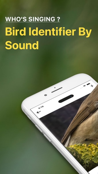 Bird Sounds Identifier Call ID