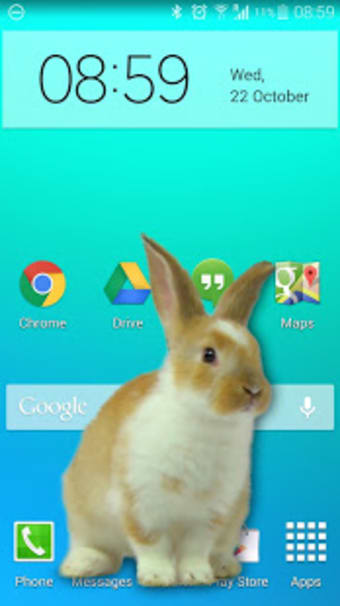 Bunny in Phone Cute joke