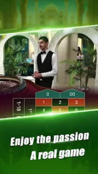 Stellar Win-Casino CricketSlot