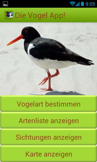 Die Vogel App
