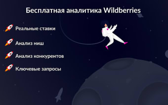 MPSpace.ru Аналитика продаж Wildberries
