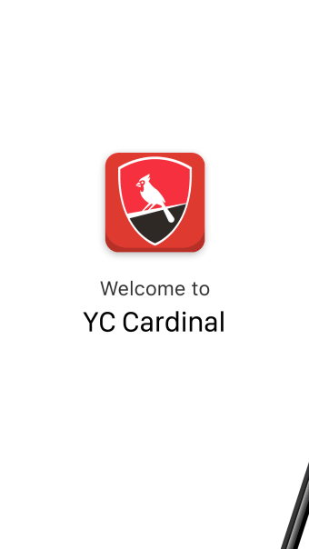 York College Cardinal CUNY