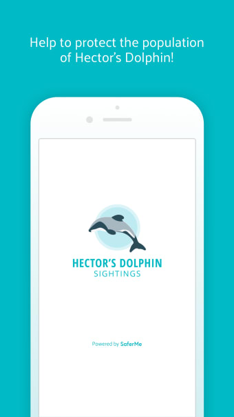 Hectors Dolphin Sightings