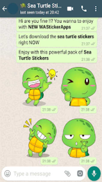 Sea Turtle Stickers