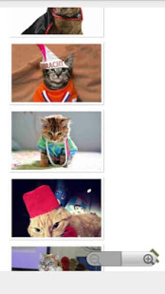 Cats Costume Design Offline