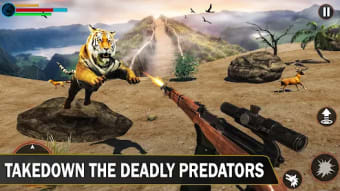 Wild Animal Hunting Clash
