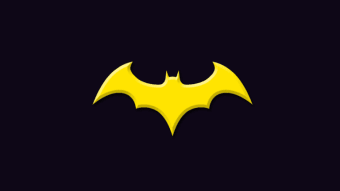 Batman And Batgirl Simulater