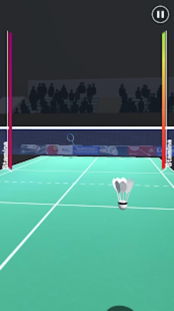 Badminton Pro
