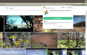 Google Photos Video Exporter