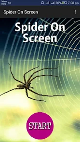 Spider On Screen Prank