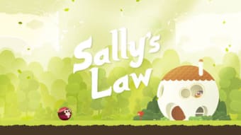 Sallys Law