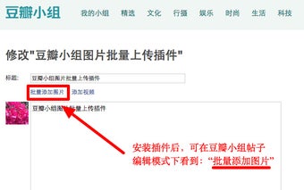 豆瓣小组图片批量上传插件