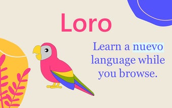 Loro - Learn vocabulary