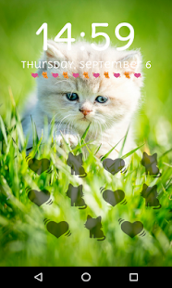 kitten Lock Screen Pattern Passcode Cute wallpaper