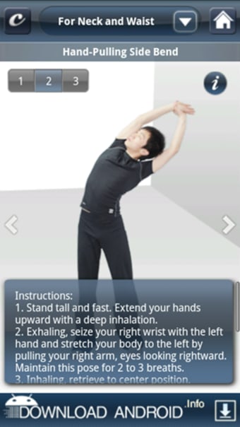 Stretch Exercises