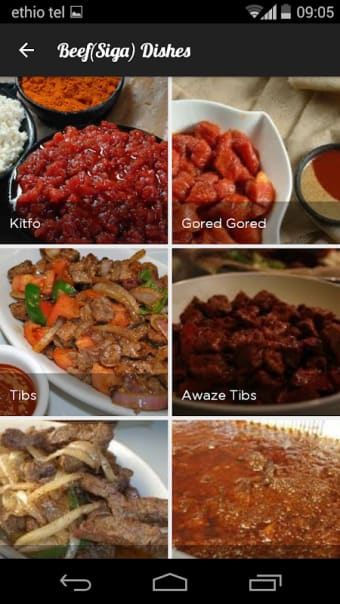 Gursha : Ethiopian Recipes App