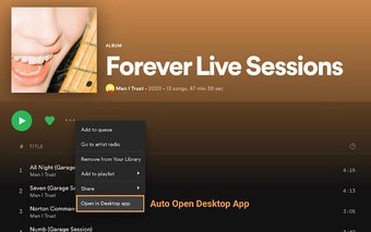 Open Spotify Desktop App