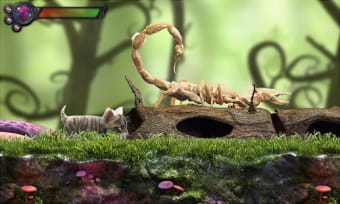 Kitty Quest - Cat Adventure Game