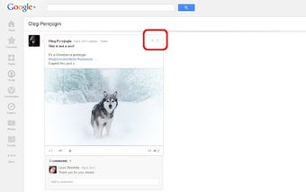 G+ Hide Posts