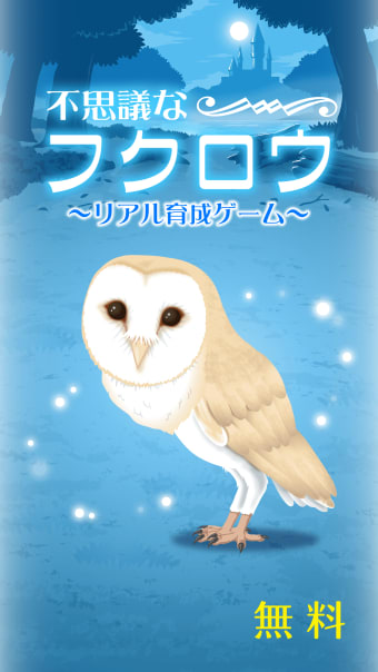 Owl Simulation Game