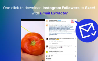 FollowFox - IG Follower Export Tool (Email)